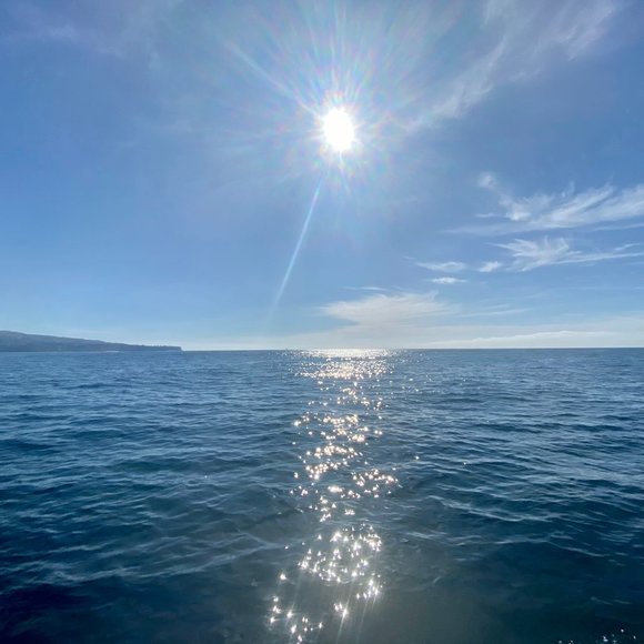 Star & Sea - South Bay, California - Picture 7 of 16